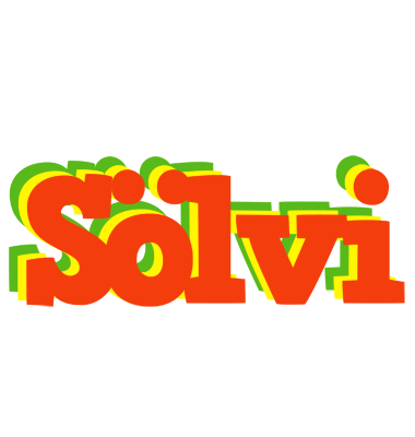 Sölvi bbq logo