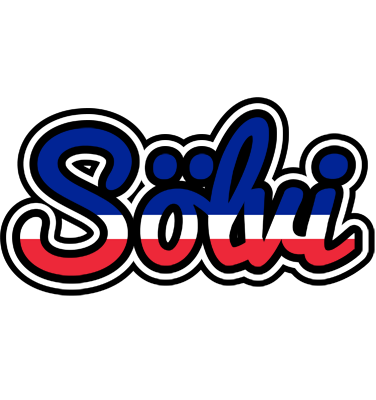 Sölvi france logo
