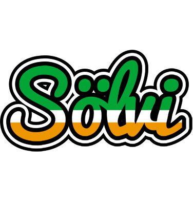 Sölvi ireland logo