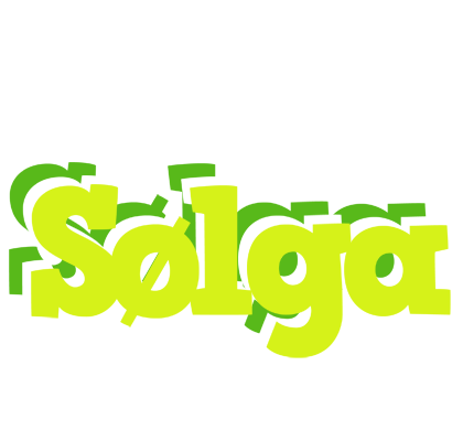 Sølga citrus logo