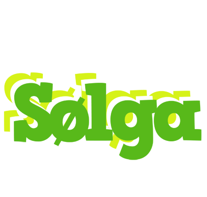 Sølga picnic logo