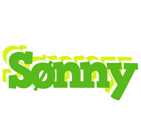 Sønny picnic logo