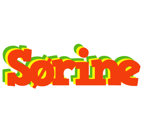 Sørine bbq logo