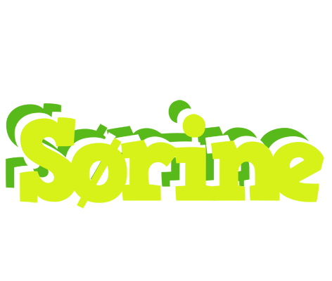 Sørine citrus logo