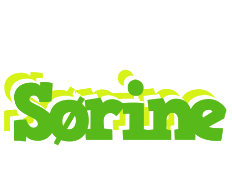 Sørine picnic logo