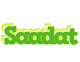 Saadat picnic logo