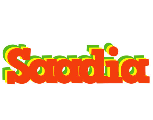 Saadia bbq logo