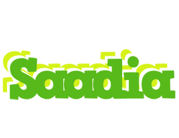 Saadia picnic logo