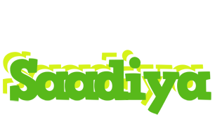 Saadiya picnic logo