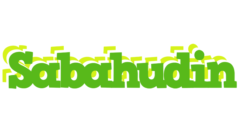 Sabahudin picnic logo