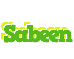 Sabeen picnic logo