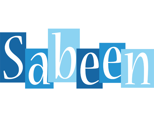 Sabeen winter logo