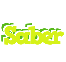 Saber citrus logo