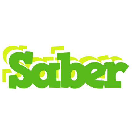 Saber picnic logo