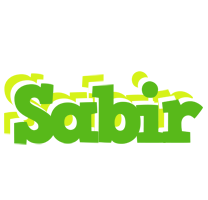 Sabir picnic logo