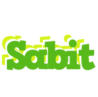 Sabit picnic logo