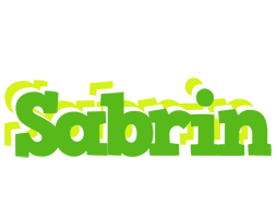 Sabrin picnic logo