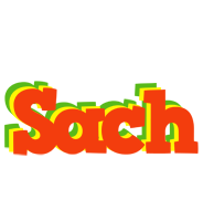 Sach bbq logo