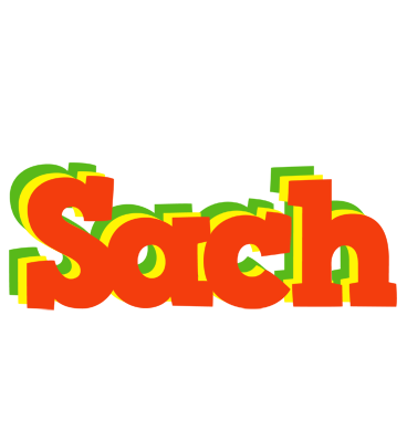 Sach bbq logo