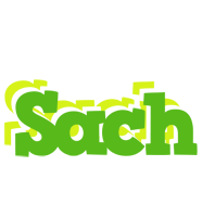 Sach picnic logo