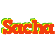 Sacha bbq logo