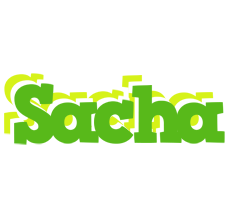 Sacha picnic logo