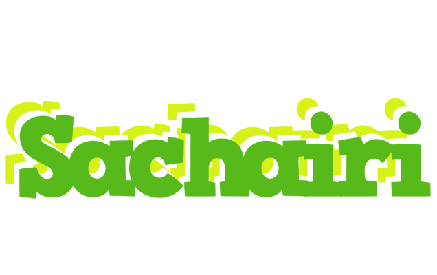 Sachairi picnic logo