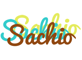 Sachio cupcake logo