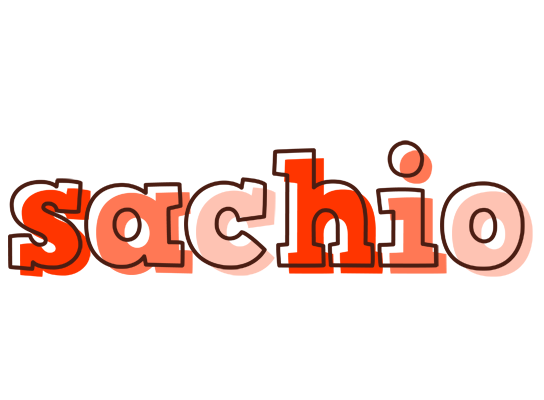 Sachio paint logo