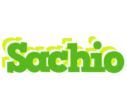 Sachio picnic logo