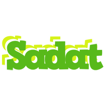 Sadat picnic logo