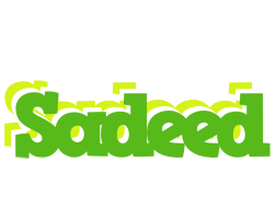 Sadeed picnic logo