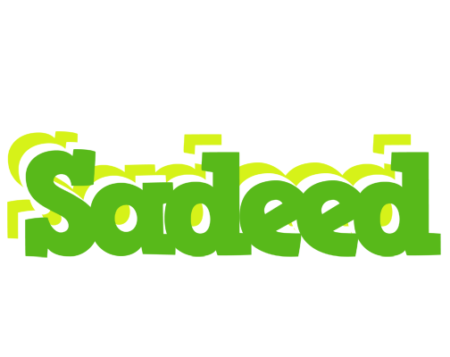 Sadeed picnic logo