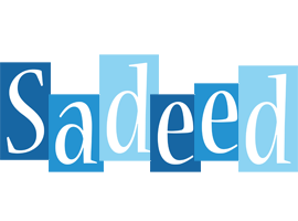 Sadeed winter logo