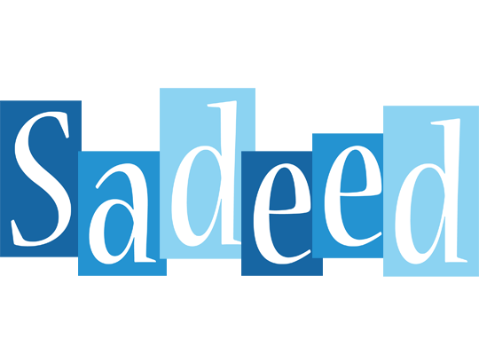 Sadeed winter logo