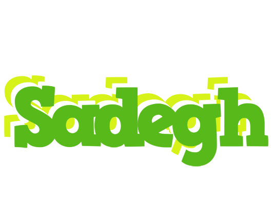Sadegh picnic logo