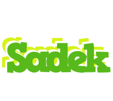 Sadek picnic logo