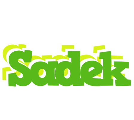Sadek picnic logo