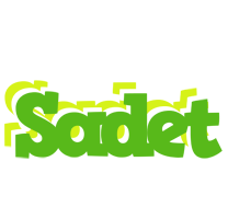 Sadet picnic logo