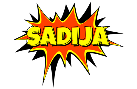 Sadija bazinga logo