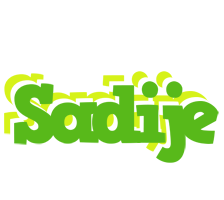 Sadije picnic logo