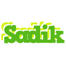 Sadik picnic logo