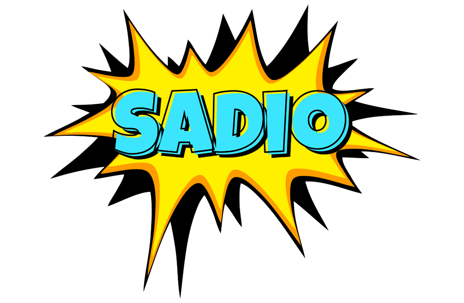Sadio indycar logo