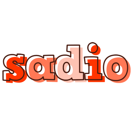 Sadio paint logo