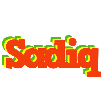 Sadiq bbq logo