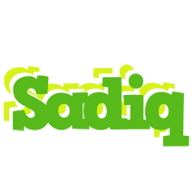 Sadiq picnic logo