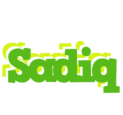 Sadiq picnic logo