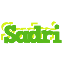 Sadri picnic logo