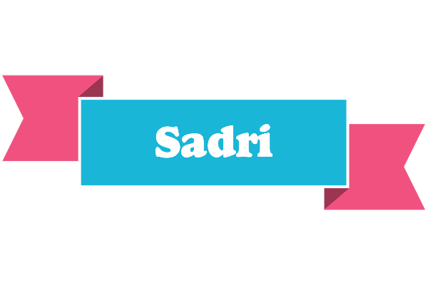 Sadri today logo