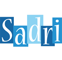 Sadri winter logo